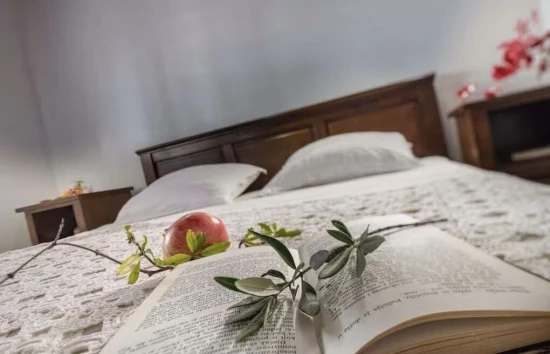 Domek Ostrov Dugi otok - Sali OS 12306 N1