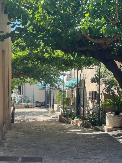 Apartmán Severní Dalmácie - Primošten DA 17387 N1