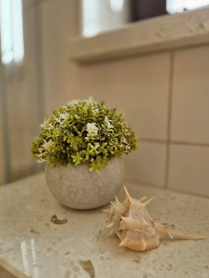 Apartmán Severní Dalmácie - Primošten DA 17387 N1
