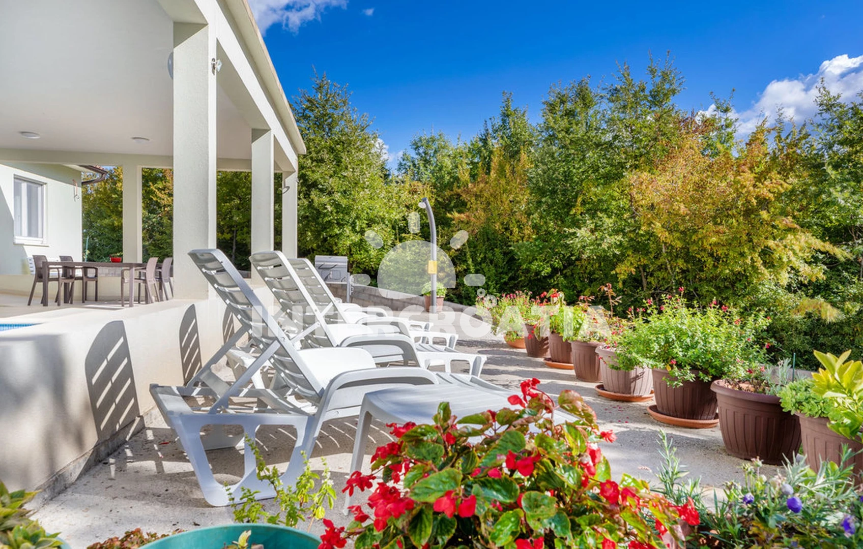 Vila Istrie - Barban IS 8098 N1