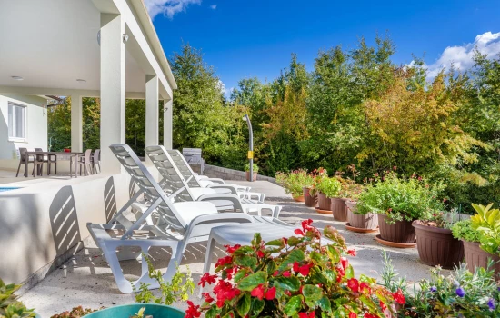 Vila Istrie - Barban IS 8098 N1