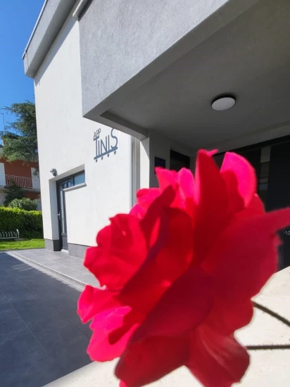 Domek Istrie - Umag IS 8099 N1