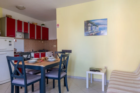 Apartmán Severní Dalmácie - Privlaka DA 17392 N1