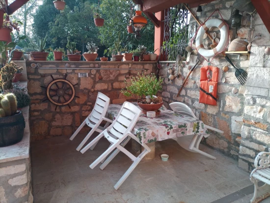 Apartmán Istrie - Umag IS 8101 N1