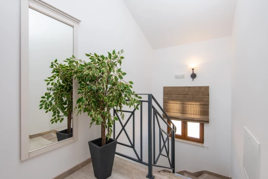 Vila Jižní Dalmácie - Orebić DA 17393 N1