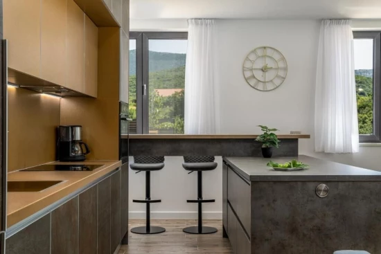 Vila Střední Dalmácie - Omiš DA 17394 N1