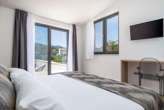 Vila Střední Dalmácie - Omiš DA 17394 N1