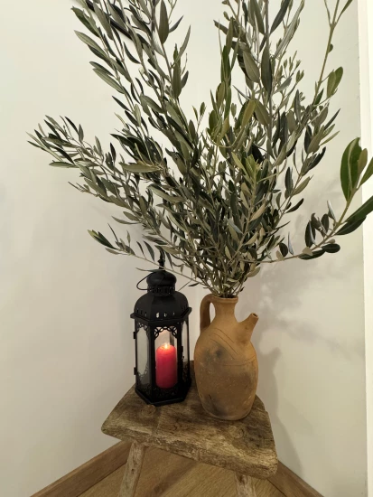 Domek Střední Dalmácie - Zadvarje DA 17397 N1