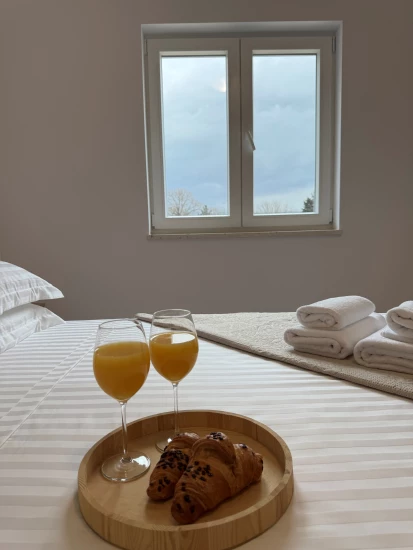 Domek Střední Dalmácie - Zadvarje DA 17397 N1