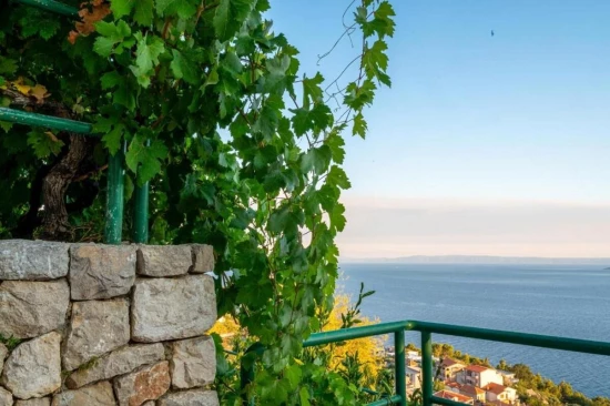 Apartmán Střední Dalmácie - Brela DA 17399 N2