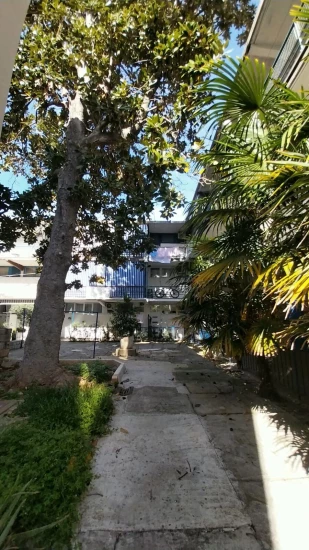 Apartmán Severní Dalmácie - Zadar DA 17410 N1