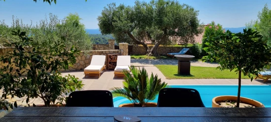 Vila Ostrov Rab - Palit OS 12314 N1