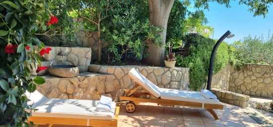 Vila Ostrov Rab - Palit OS 12314 N1