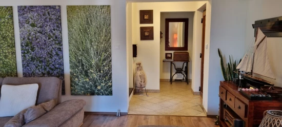 Vila Ostrov Rab - Palit OS 12314 N1