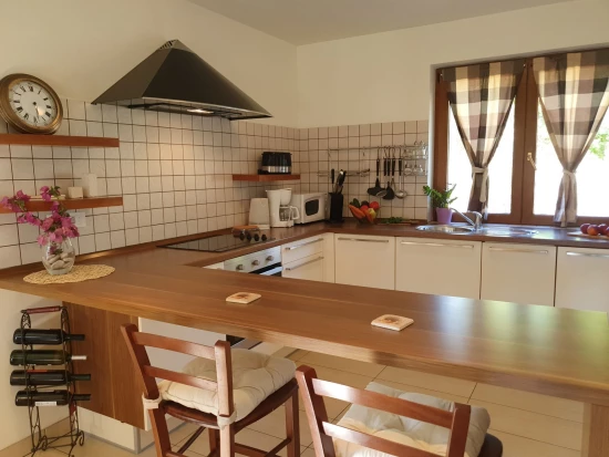 Vila Ostrov Rab - Palit OS 12314 N1