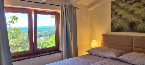 Vila Ostrov Rab - Palit OS 12314 N1