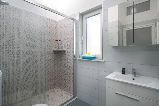 Vila Istrie - Labin (Rabac) IS 8108 N1