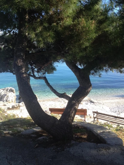 Apartmán Střední Dalmácie - Okrug Gornji DA 17417 N2