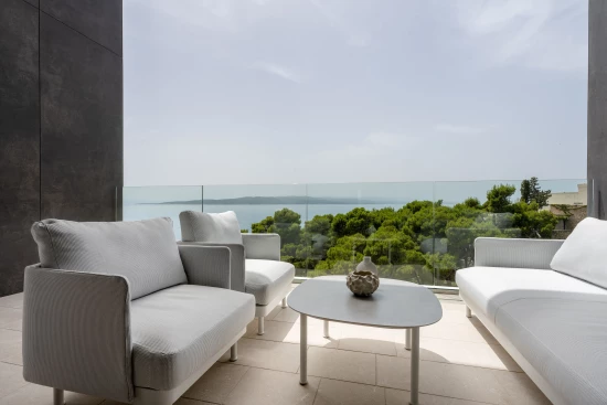 Vila Střední Dalmácie - Baška Voda DA 17421 N1