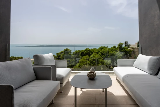 Vila Střední Dalmácie - Baška Voda DA 17421 N1