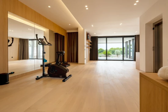 Vila Střední Dalmácie - Baška Voda DA 17421 N1