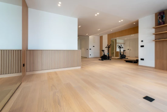 Vila Střední Dalmácie - Baška Voda DA 17421 N1