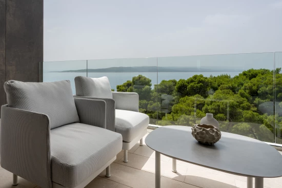 Vila Střední Dalmácie - Baška Voda DA 17421 N1