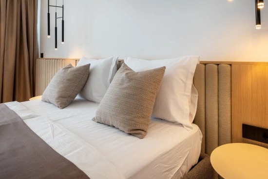 Vila Střední Dalmácie - Baška Voda DA 17421 N1