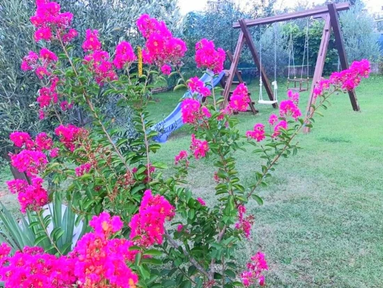 Domek Istrie - Buje IS 8109 N1