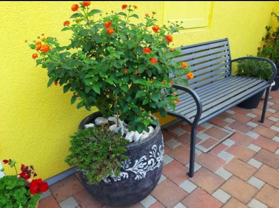 Domek Istrie - Buje IS 8109 N1