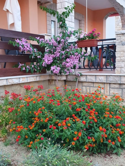 Apartmán Ostrov Rab - Palit OS 12318 N2