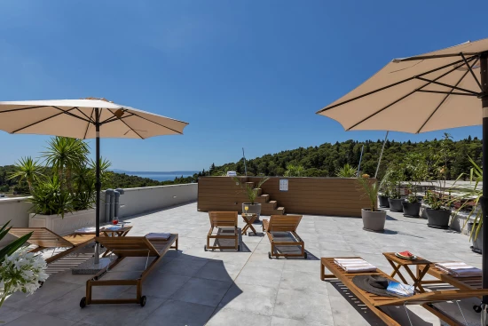 Apartmán Střední Dalmácie - Makarska DA 17437 N1