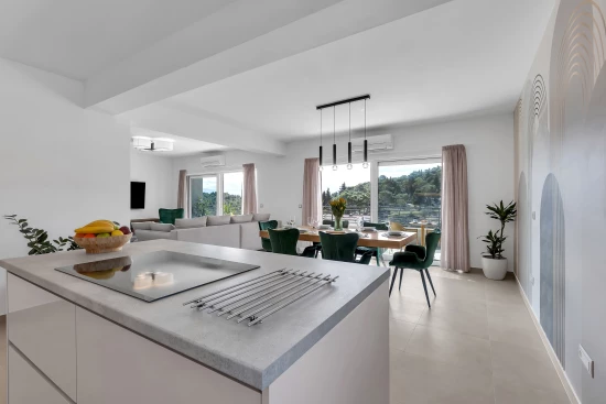 Apartmán Střední Dalmácie - Makarska DA 17437 N1