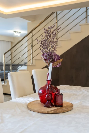 Vila Severní Dalmácie - Privlaka DA 17440 N1