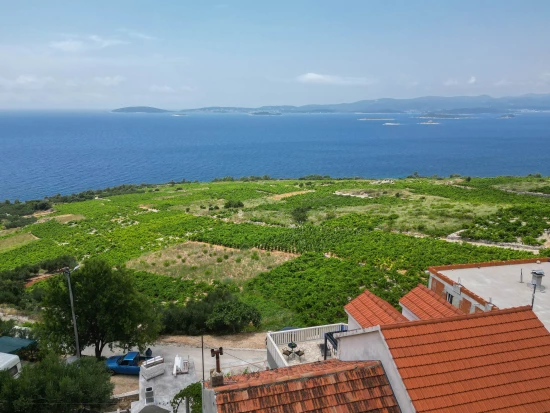 Vila Jižní Dalmácie - Orebić DA 17441 N1