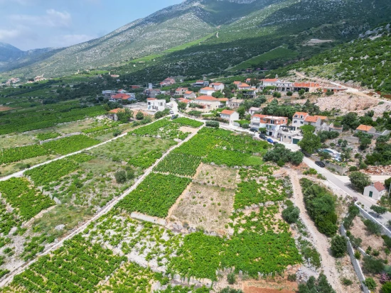 Vila Jižní Dalmácie - Orebić DA 17441 N1
