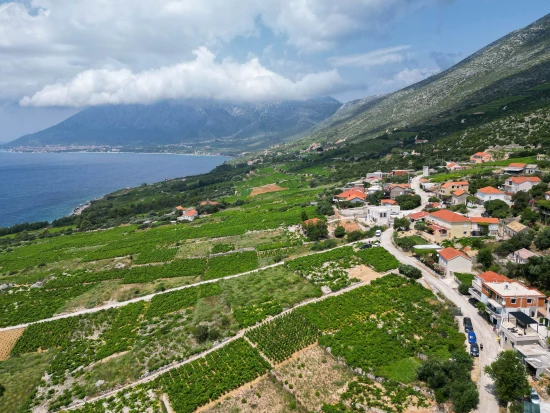 Vila Jižní Dalmácie - Orebić DA 17441 N1