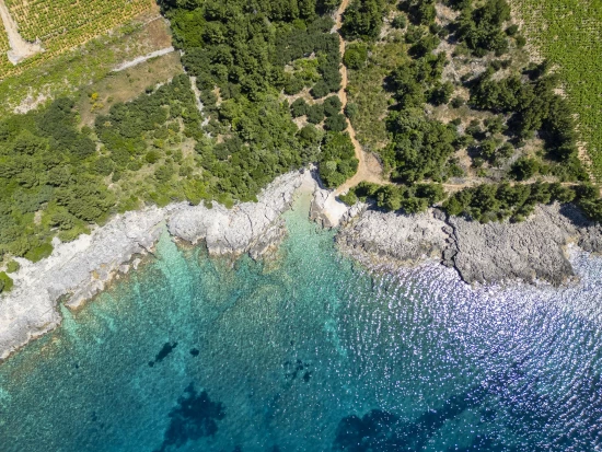 Vila Jižní Dalmácie - Orebić DA 17441 N1