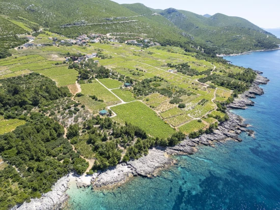 Vila Jižní Dalmácie - Orebić DA 17441 N1