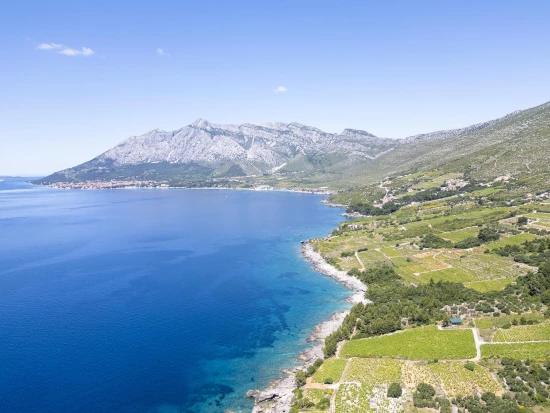 Vila Jižní Dalmácie - Orebić DA 17441 N1