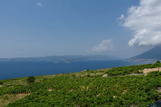 Vila Jižní Dalmácie - Orebić DA 17441 N1