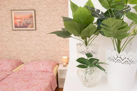 Domek Istrie - Poreč IS 8112 N1