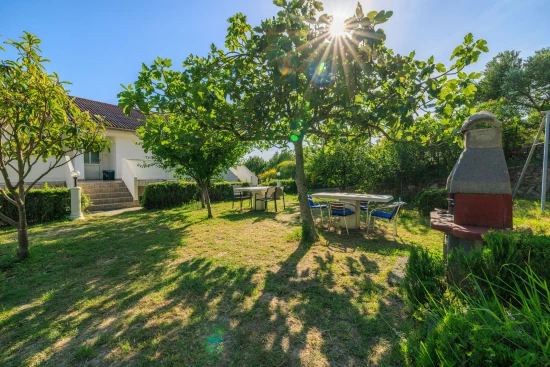 Apartmán Ostrov Rab - Kampor OS 12321 N5