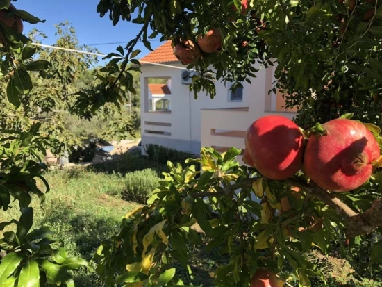 Apartmán Ostrov Ugljan - Lukoran OS 12321 N4