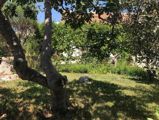 Apartmán Ostrov Ugljan - Lukoran OS 12321 N4