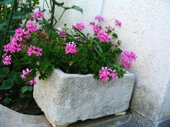 Apartmán Severní Dalmácie - Vodice DA 17448 N1