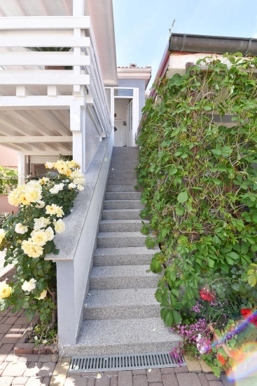 Apartmán Ostrov Vir - Vir OS 12323 N3