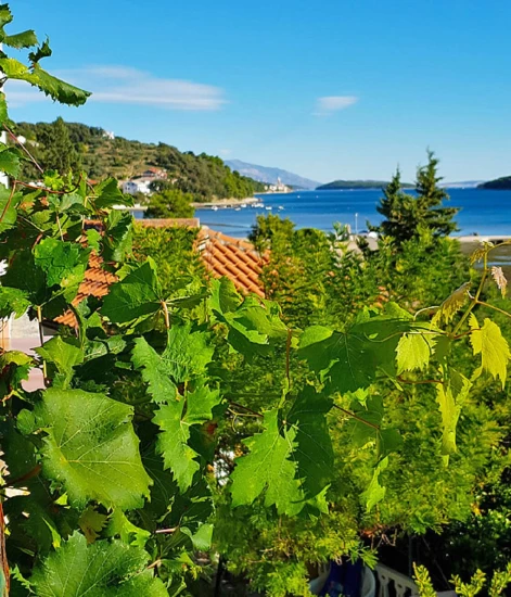 Apartmán Ostrov Rab - Kampor OS 12323 N3