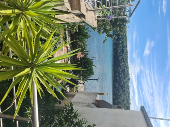 Apartmán Ostrov Rab - Kampor OS 12323 N3