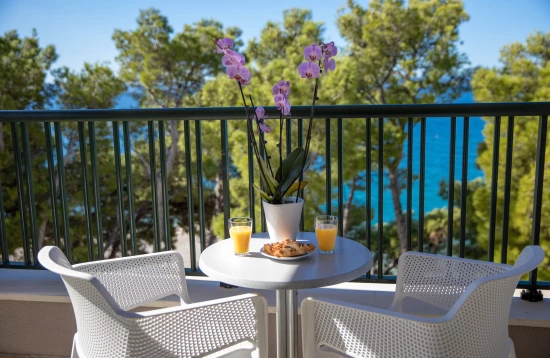 Apartmán Střední Dalmácie - Makarska DA 17462 N14